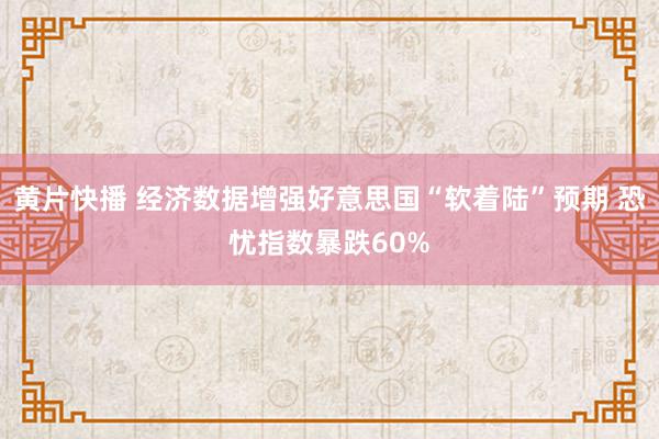 黄片快播 经济数据增强好意思国“软着陆”预期 恐忧指数暴跌60%