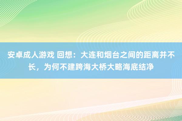 安卓成人游戏 回想：大连和烟台之间的距离并不长，为何不建跨海大桥大略海底结净