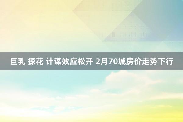 巨乳 探花 计谋效应松开 2月70城房价走势下行