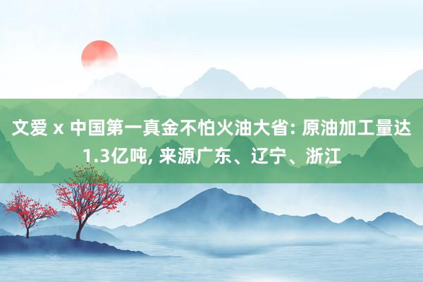 文爱 x 中国第一真金不怕火油大省: 原油加工量达1.3亿吨, 来源广东、辽宁、浙江