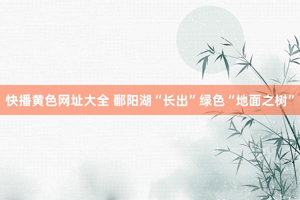 快播黄色网址大全 鄱阳湖“长出”绿色“地面之树”
