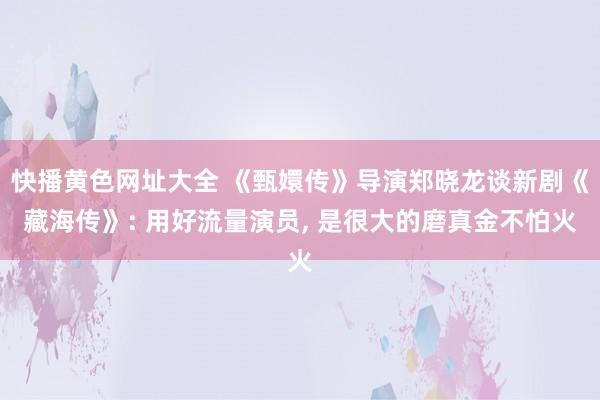 快播黄色网址大全 《甄嬛传》导演郑晓龙谈新剧《藏海传》: 用好流量演员, 是很大的磨真金不怕火