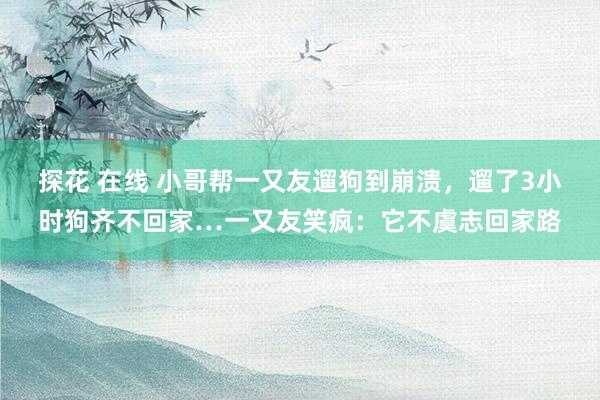 探花 在线 小哥帮一又友遛狗到崩溃，遛了3小时狗齐不回家…一又友笑疯：它不虞志回家路