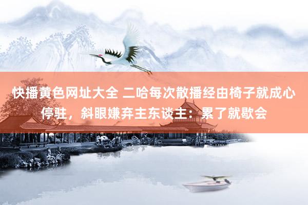 快播黄色网址大全 二哈每次散播经由椅子就成心停驻，斜眼嫌弃主东谈主：累了就歇会