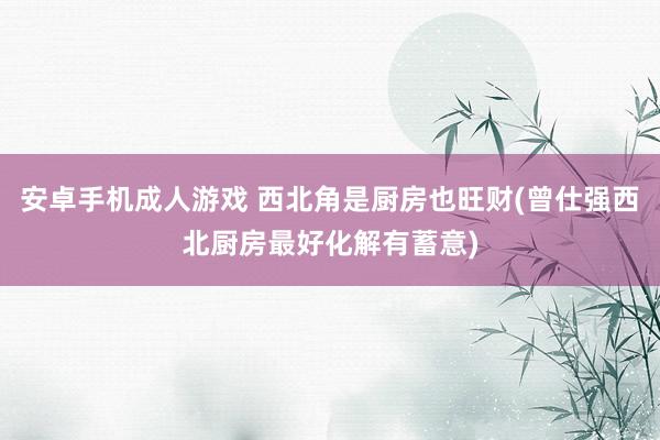 安卓手机成人游戏 西北角是厨房也旺财(曾仕强西北厨房最好化解有蓄意)